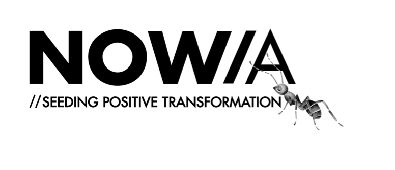 Logo NOWA Light