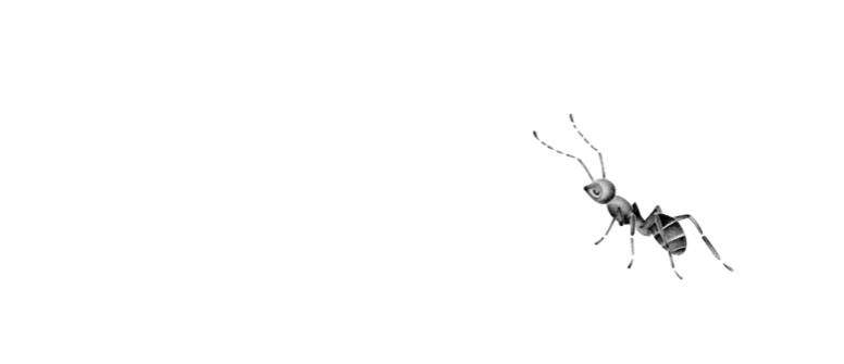 Logo NOWA Dark