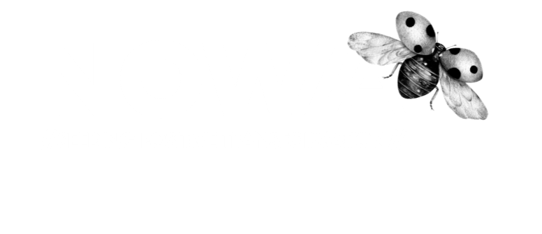 Logo NOWA Business Design Dark