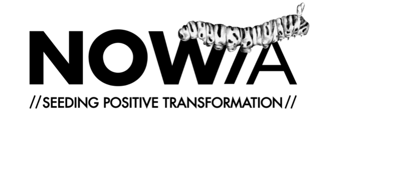 Logo NOWA Business Design Light
